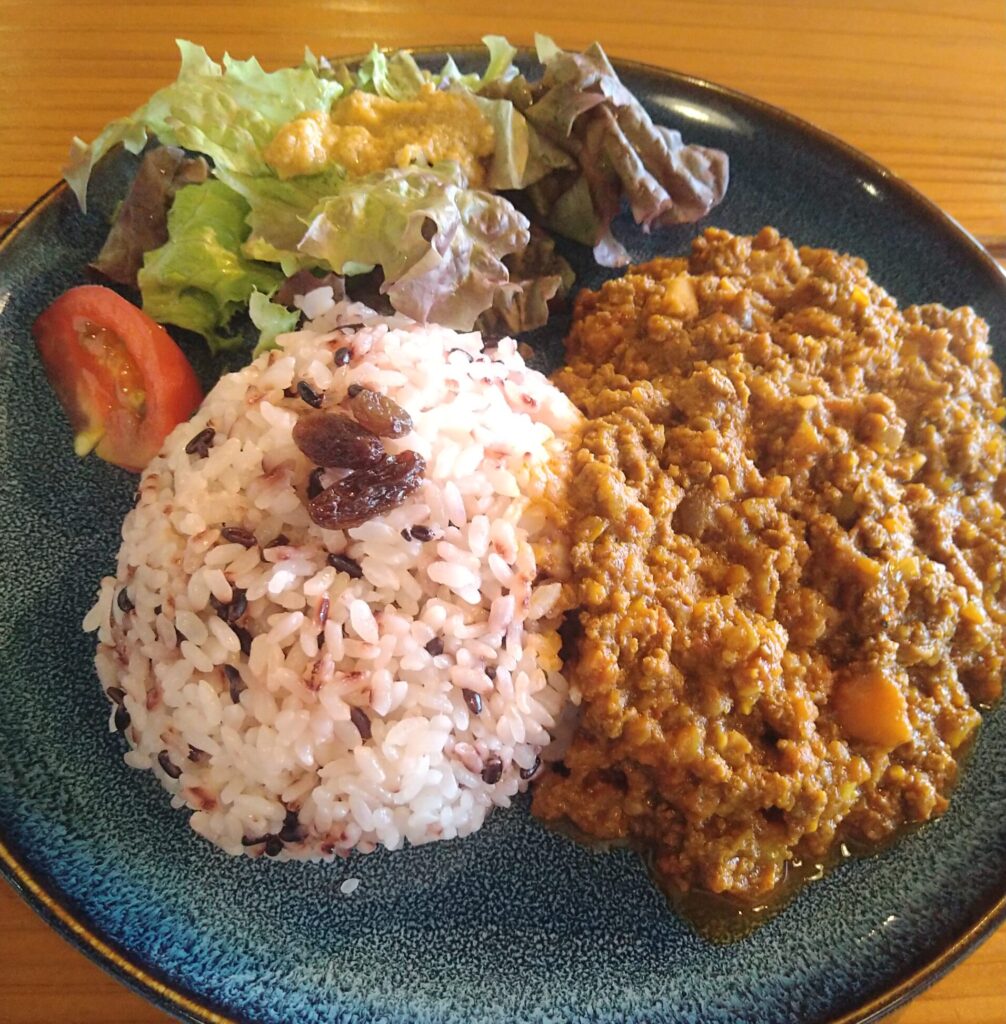 鹿肉キーマカレー（ミニサラダ付）