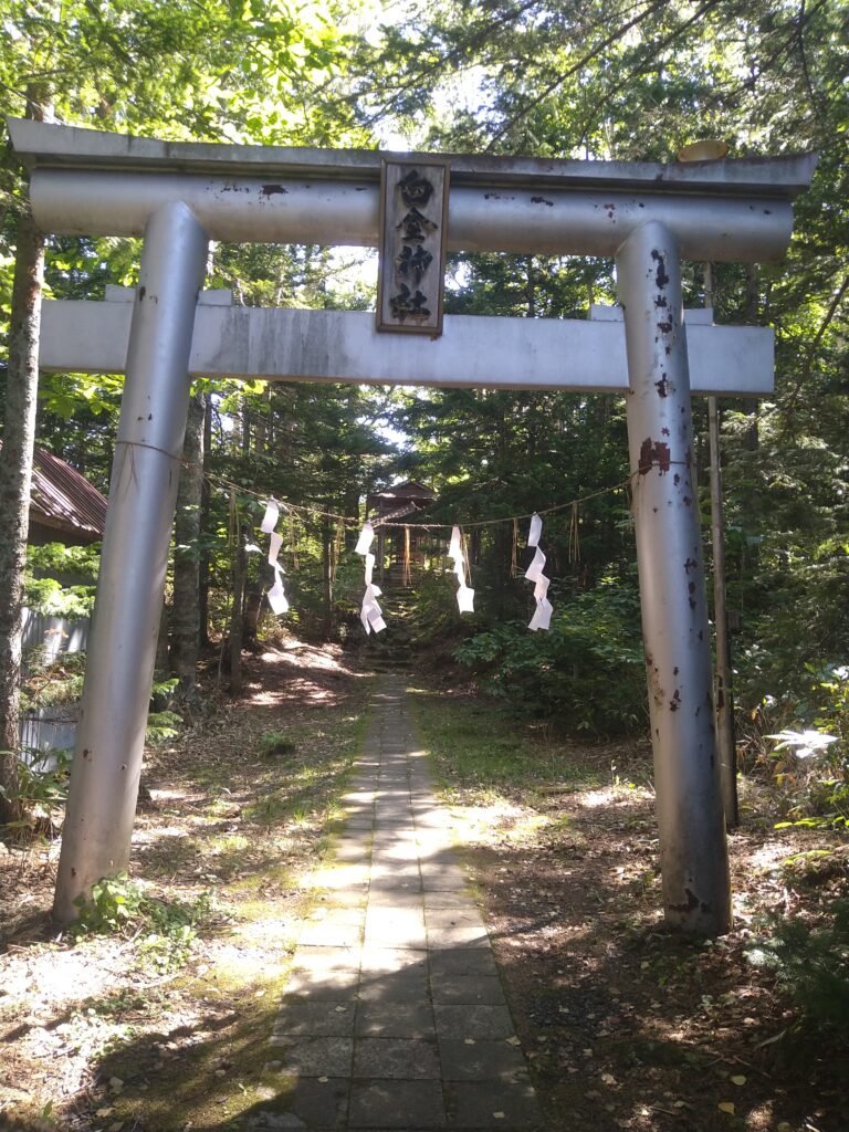 白金神社鳥居