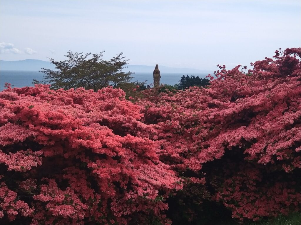 恵山つつじ公園からの眺め