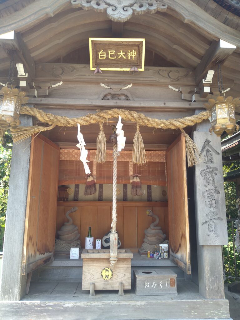 白巳大神