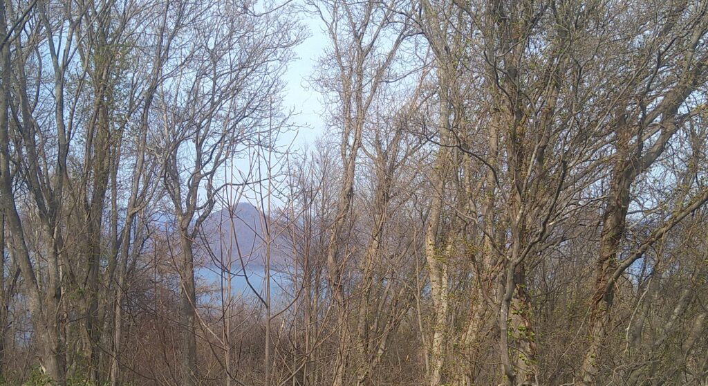 カフェから望む洞爺湖