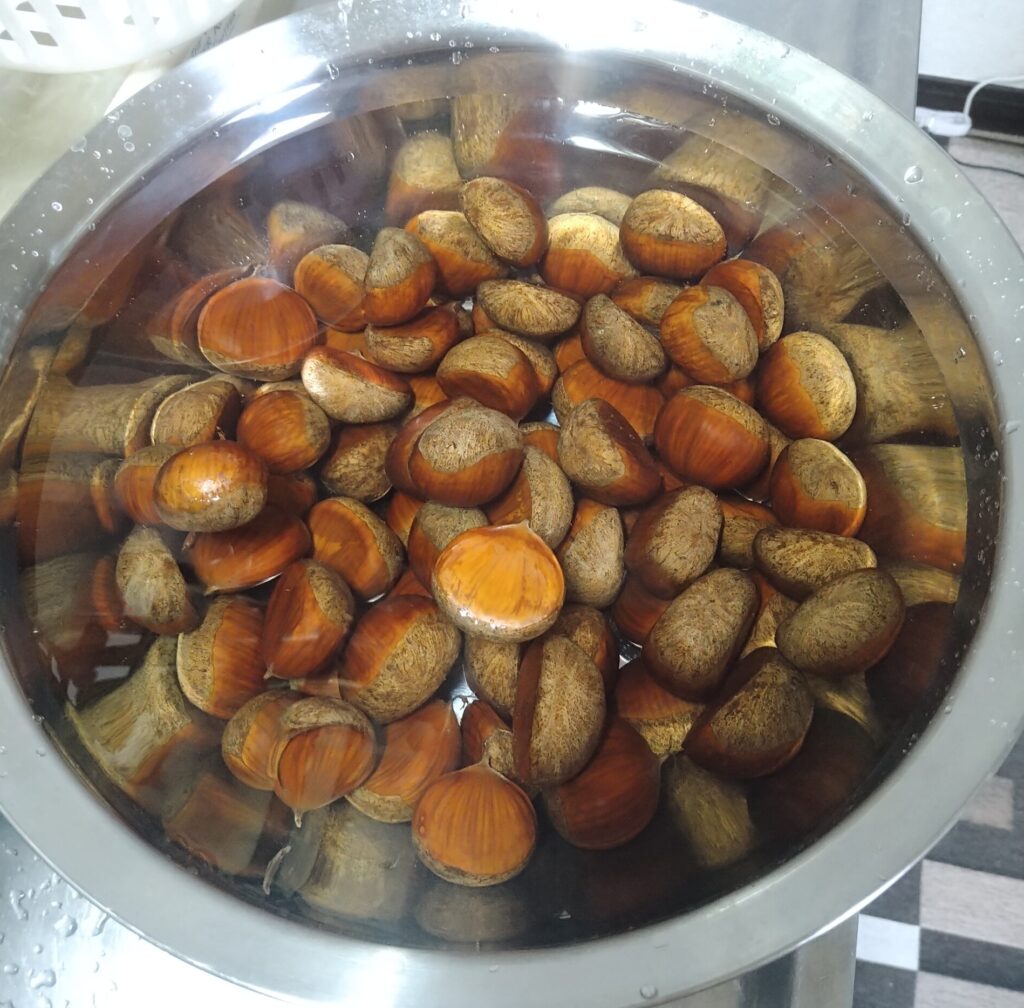 🌰生栗を買ってみた🌰 - よーつんのひとりごと