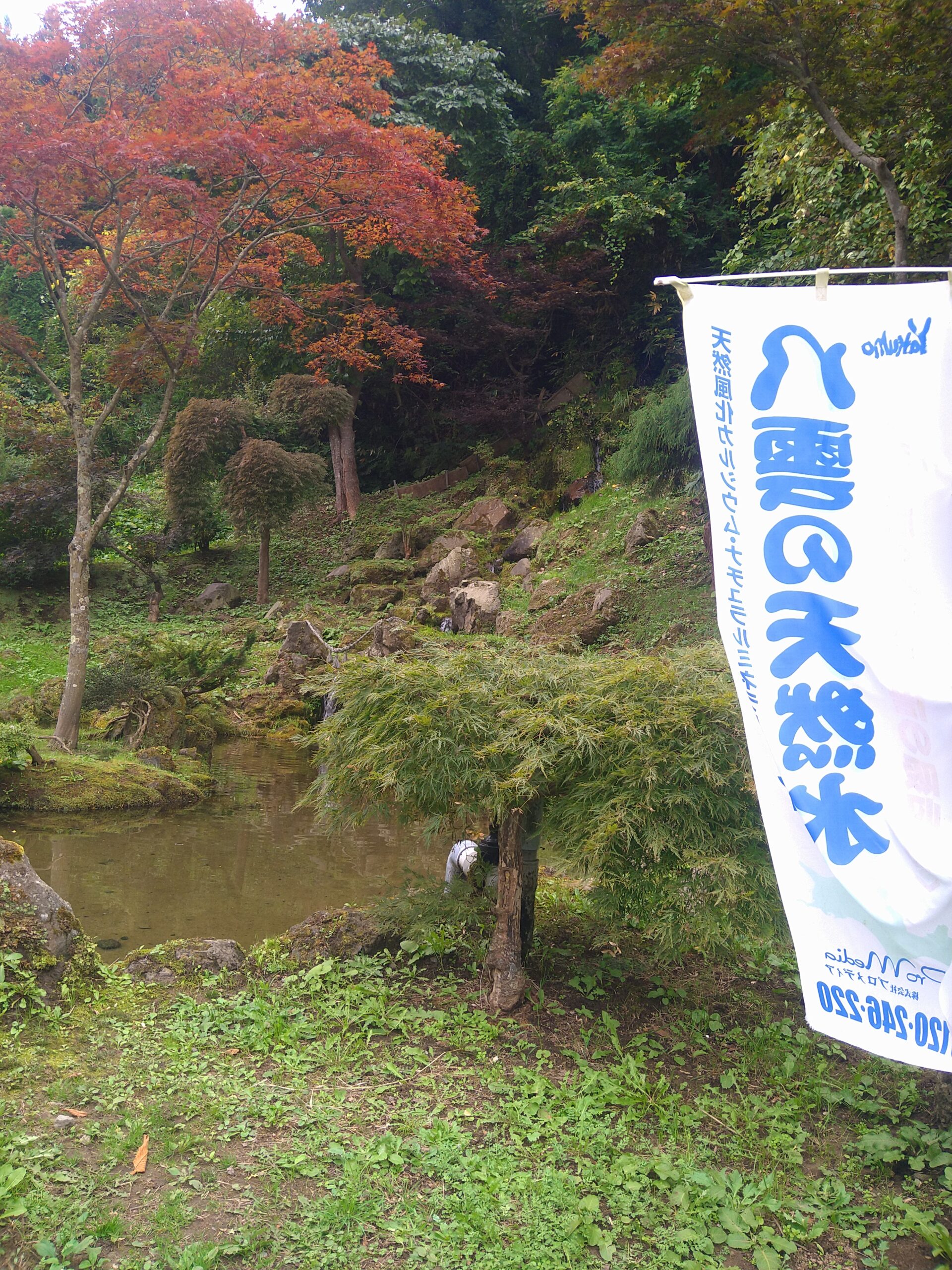 庭園と幟